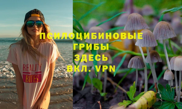 спайс Вязьма