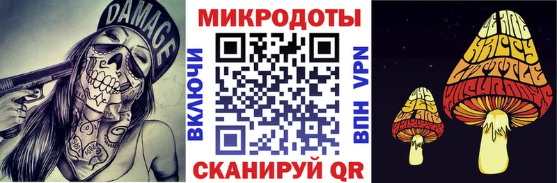 продажа наркотиков  Жигулёвск  Псилоцибиновые грибы GOLDEN TEACHER 